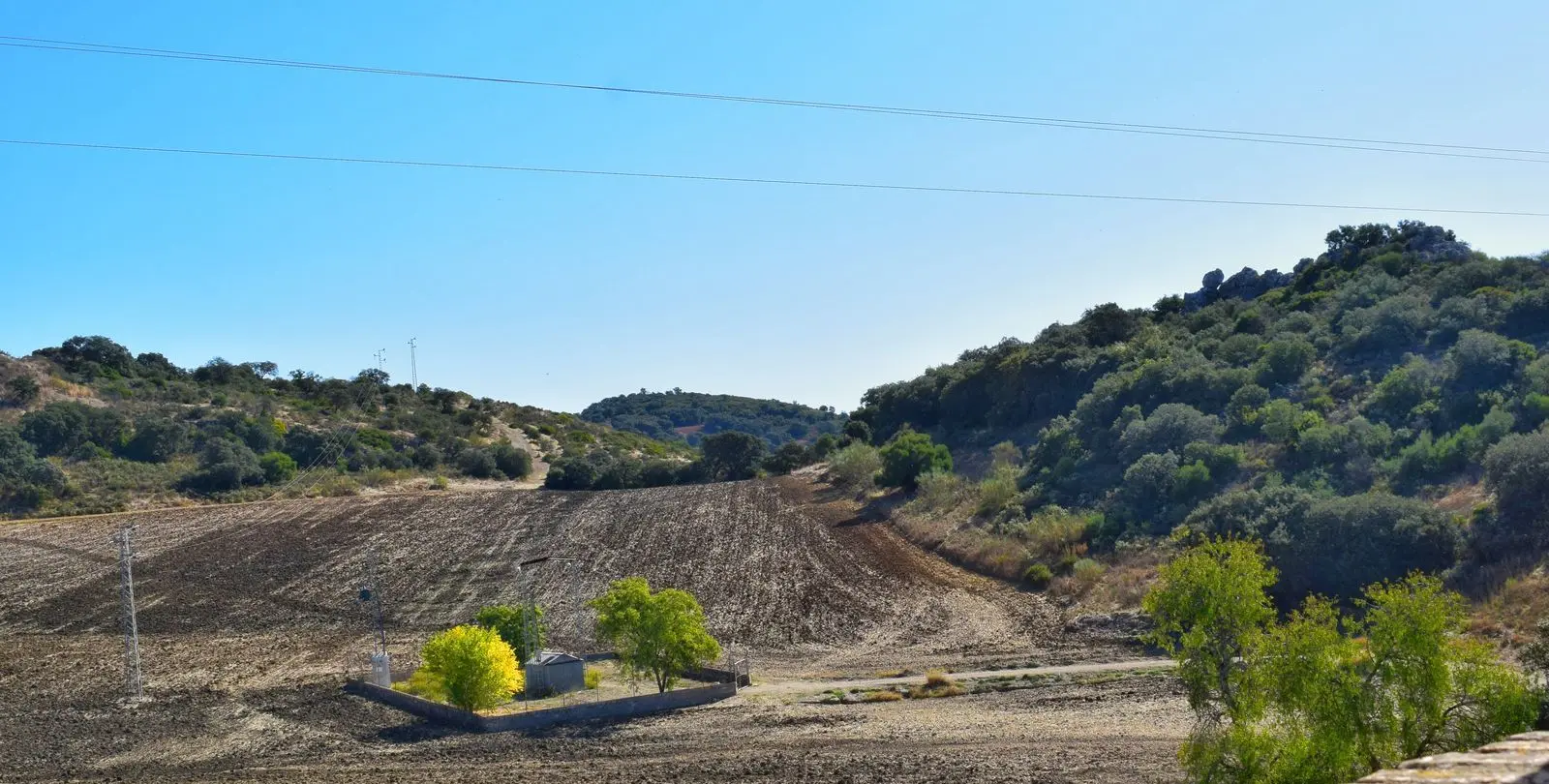 Venta de finca - cortijo en Ronda 51