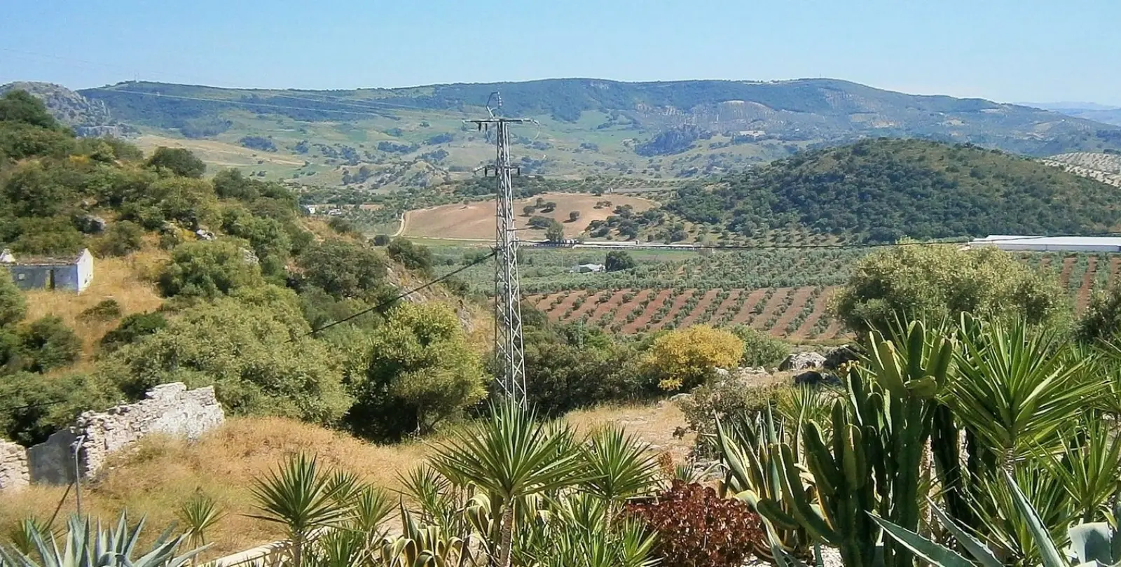 Venta de finca - cortijo en Ronda 52