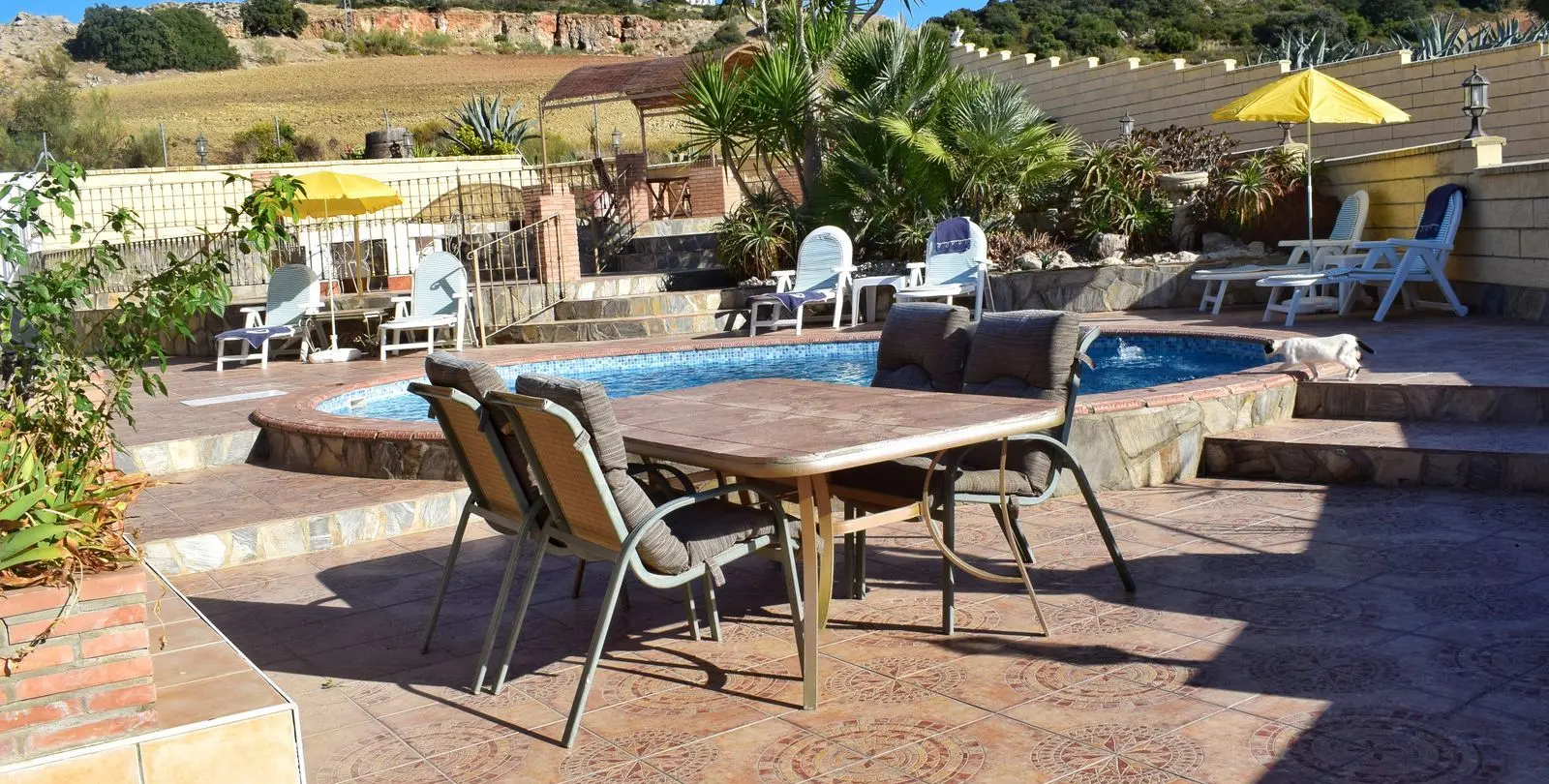 Venta de finca - cortijo en Ronda 56