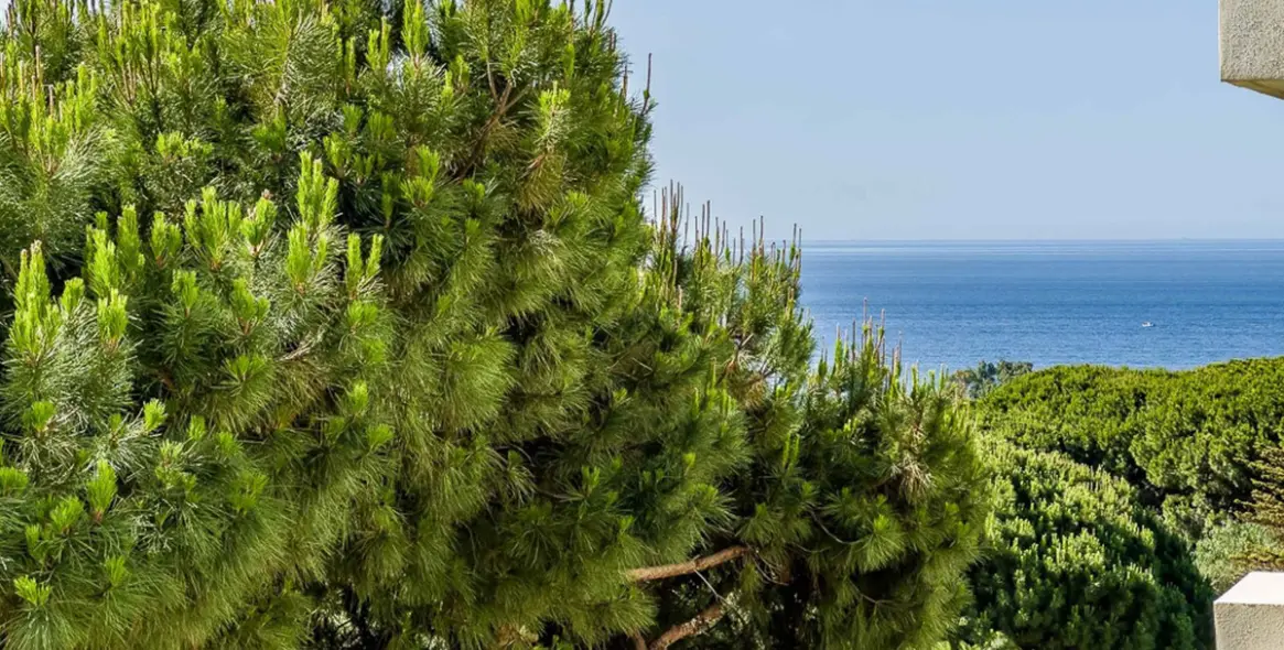 Sale of semi-detached house in Marbella 38