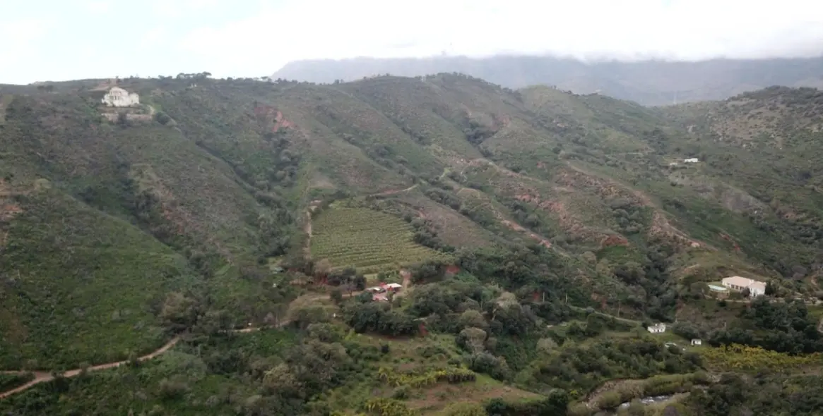 Venta de parcela residencial en Estepona 1