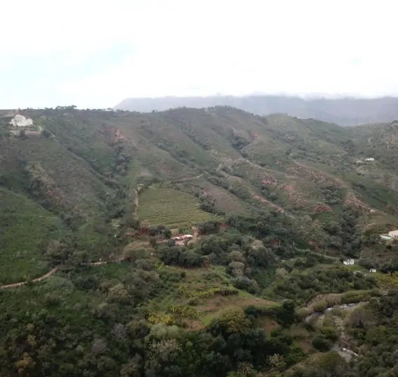 Venta de parcela residencial en Estepona