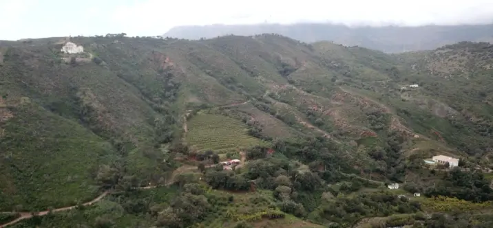 Venta de parcela residencial en Estepona 0