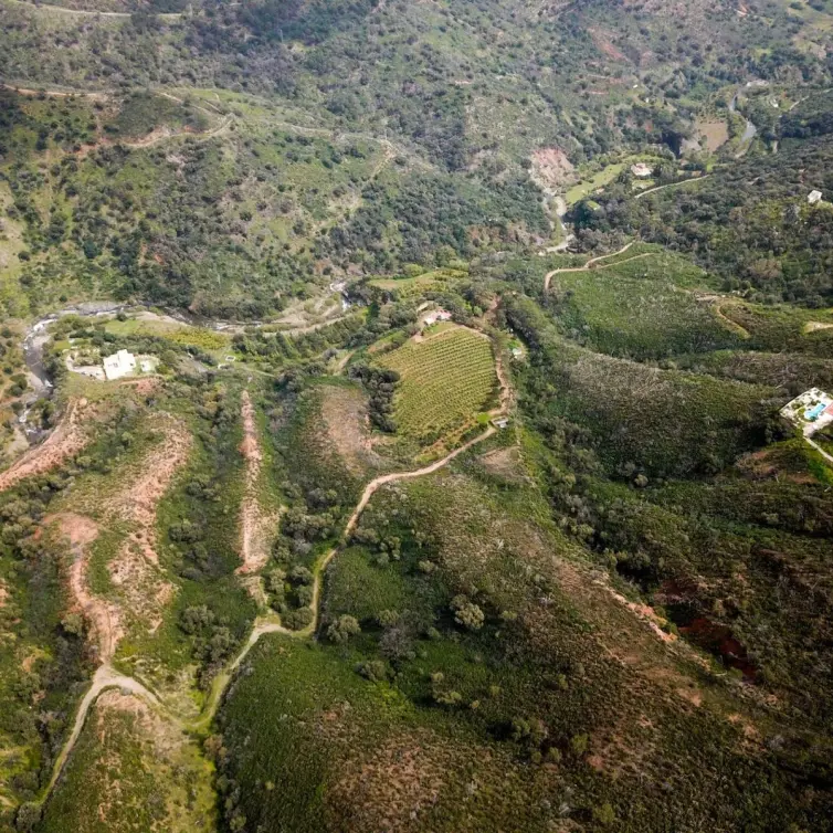 Sale of residential plot in Estepona