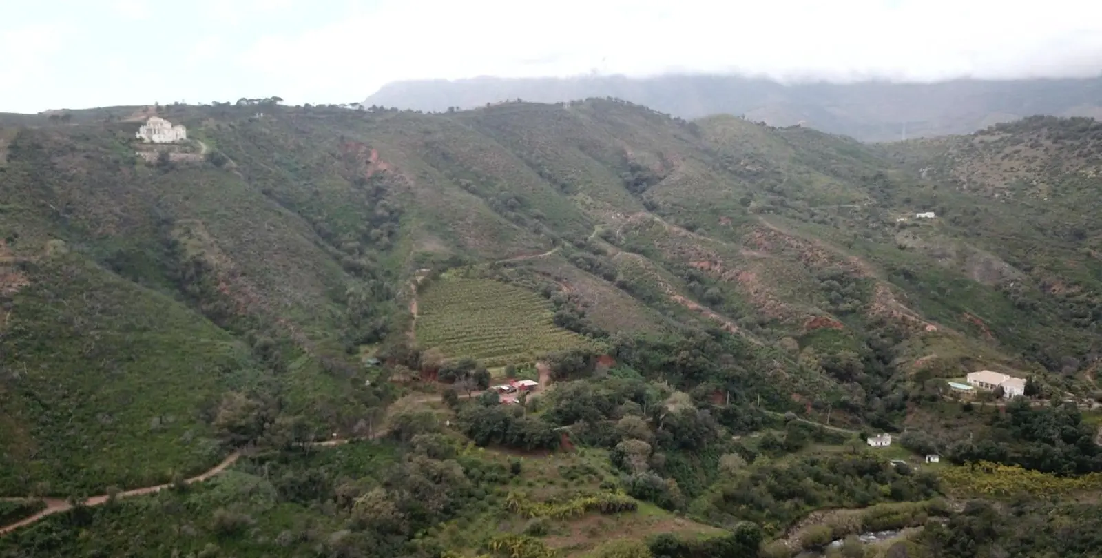 Sale of residential plot in Estepona 4
