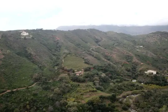 Image 4 thumb