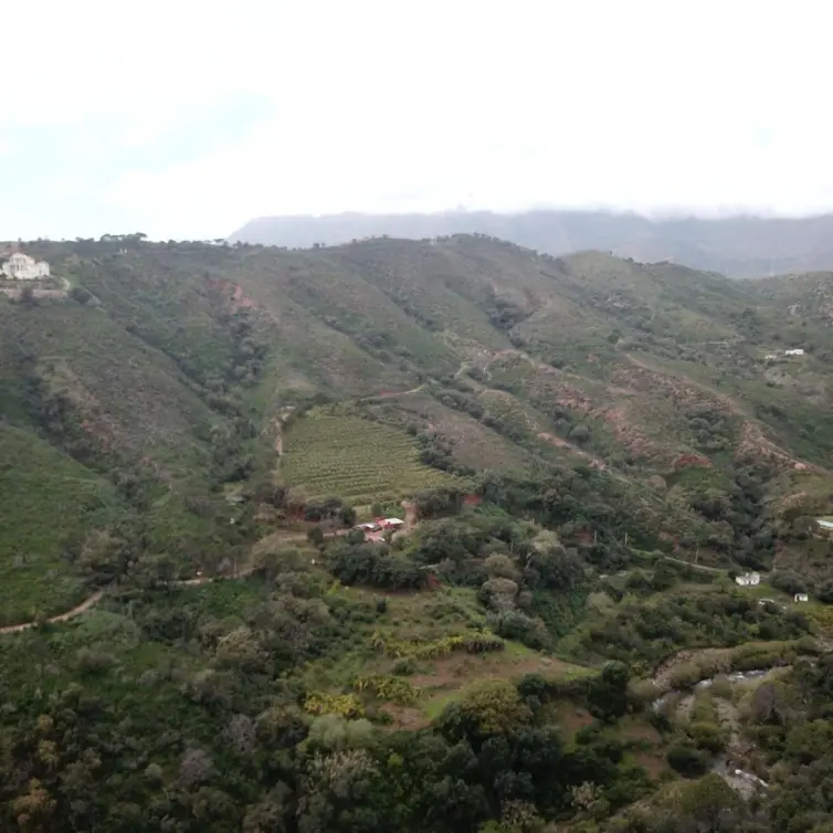Sale of residential plot in Estepona