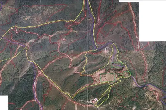 Image 9 thumb