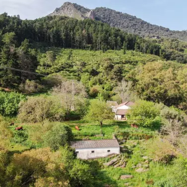 Продажа финки в Gaucín