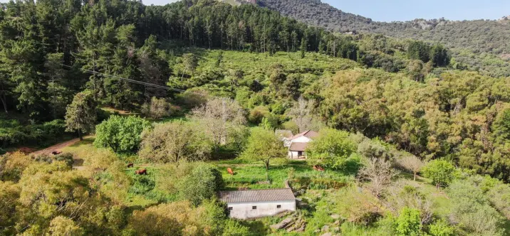 Продажа финки в Gaucín 1