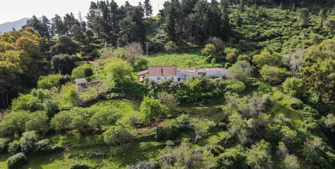 Sale of finca - cortijo in Gaucín 3
