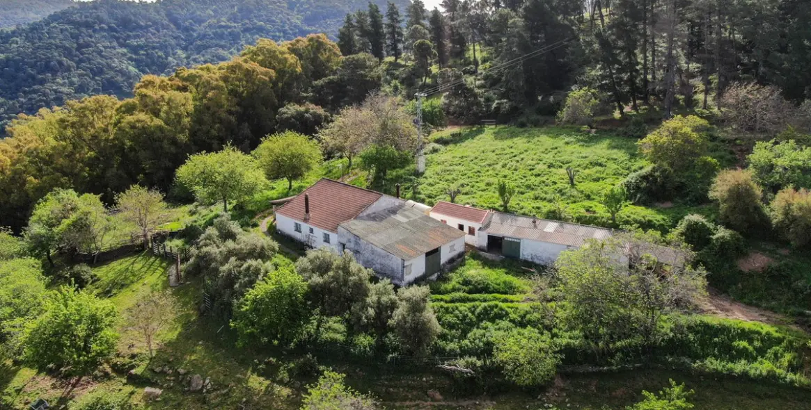Sale of finca - cortijo in Gaucín 4