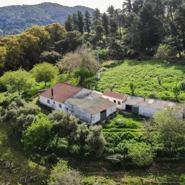 Продажа финки в Gaucín