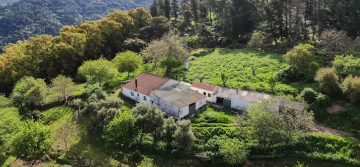 Продажа финки в Gaucín 3