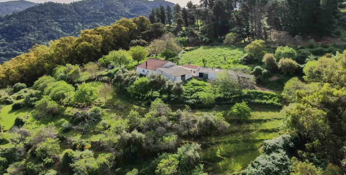 Sale of finca - cortijo in Gaucín 15