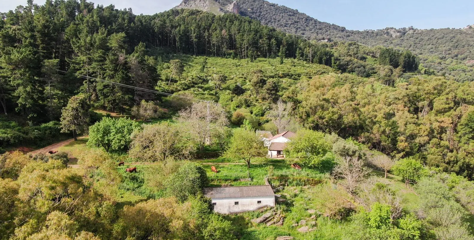 Venta de finca - cortijo en Gaucín 1