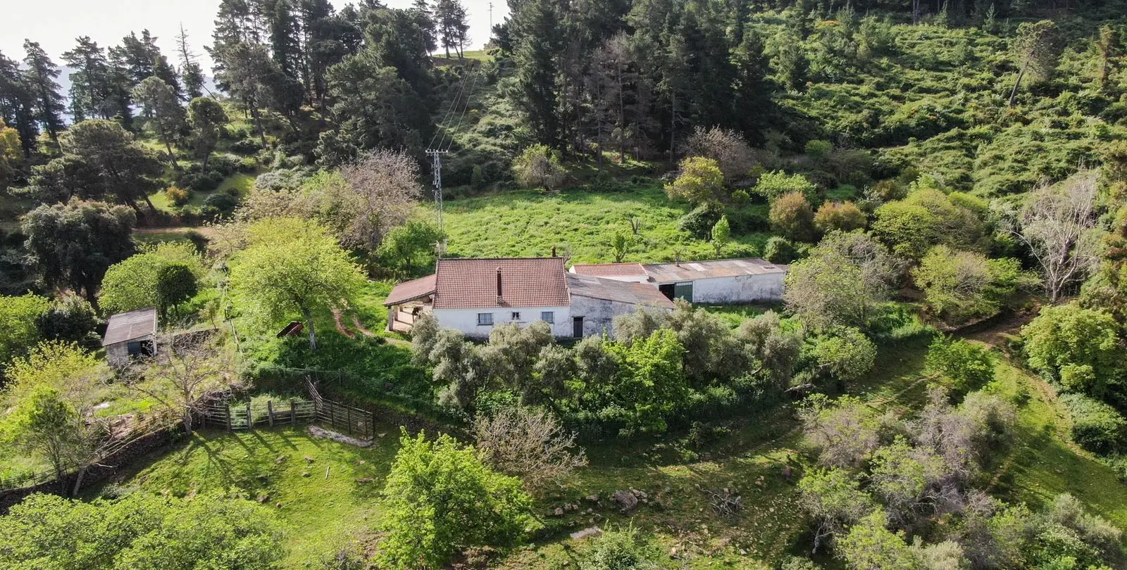 Venta de finca - cortijo en Gaucín 2