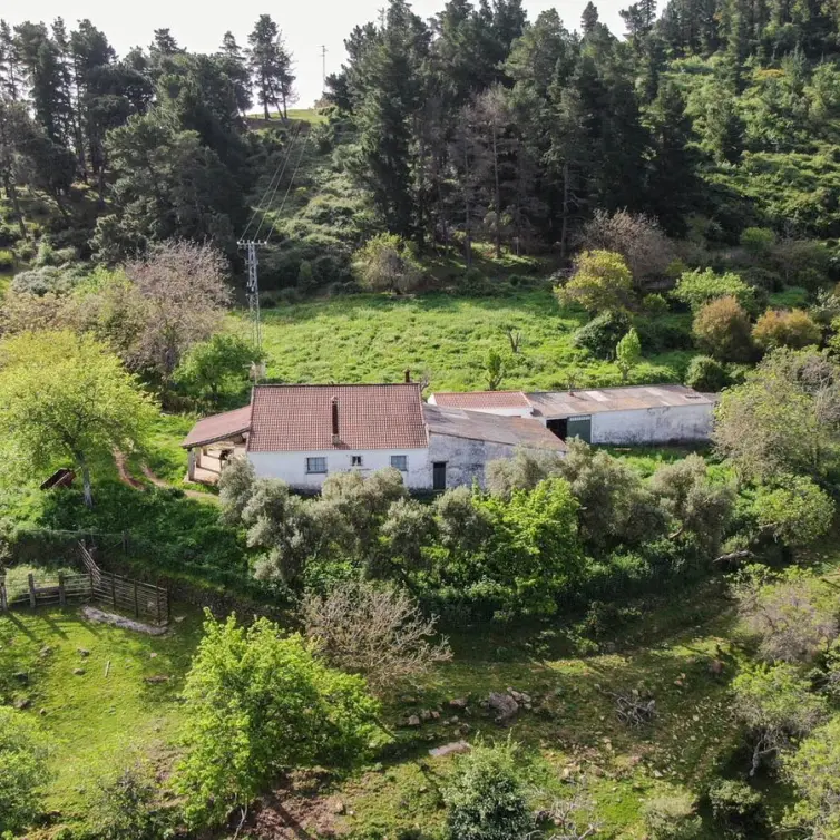 Sale of finca - cortijo in Gaucín