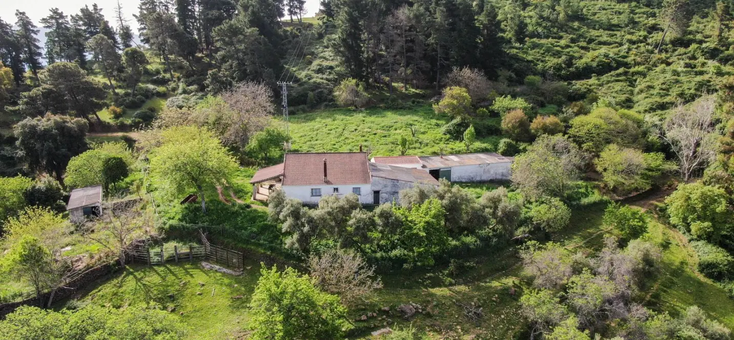 Sale of finca - cortijo in Gaucín 1