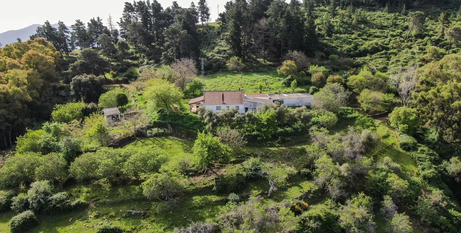 Venta de finca - cortijo en Gaucín 3