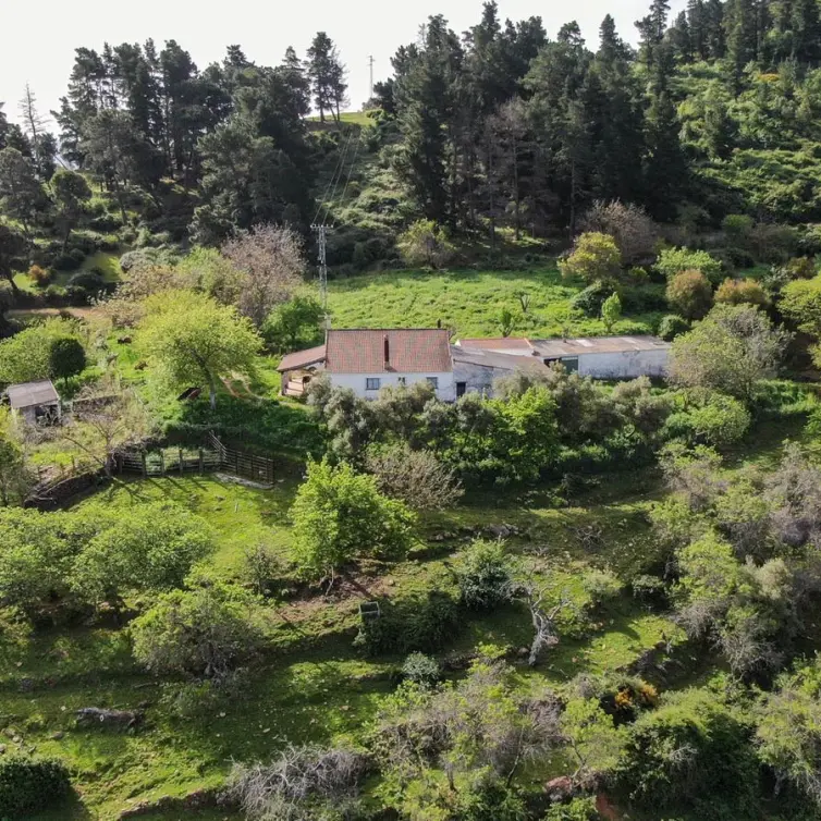 Sale of finca - cortijo in Gaucín