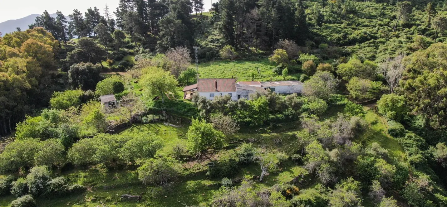 Sale of finca - cortijo in Gaucín 2