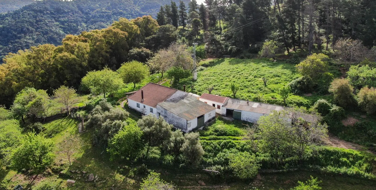 Venta de finca - cortijo en Gaucín 4