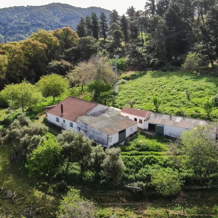Sale of finca - cortijo in Gaucín