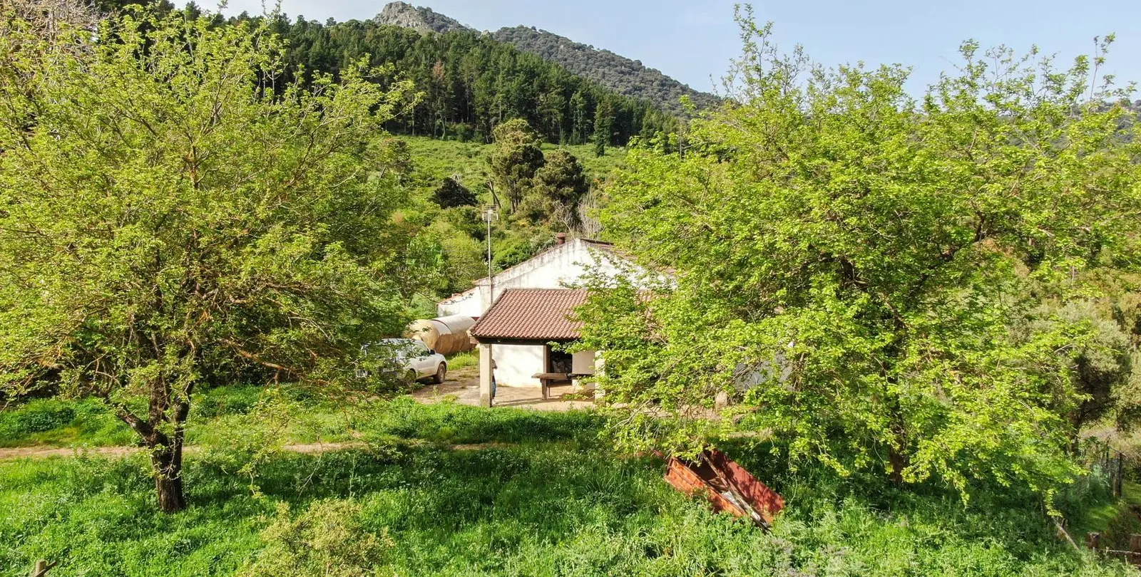 Venta de finca - cortijo en Gaucín 9