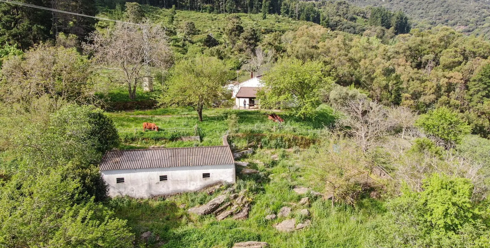 Venta de finca - cortijo en Gaucín 12