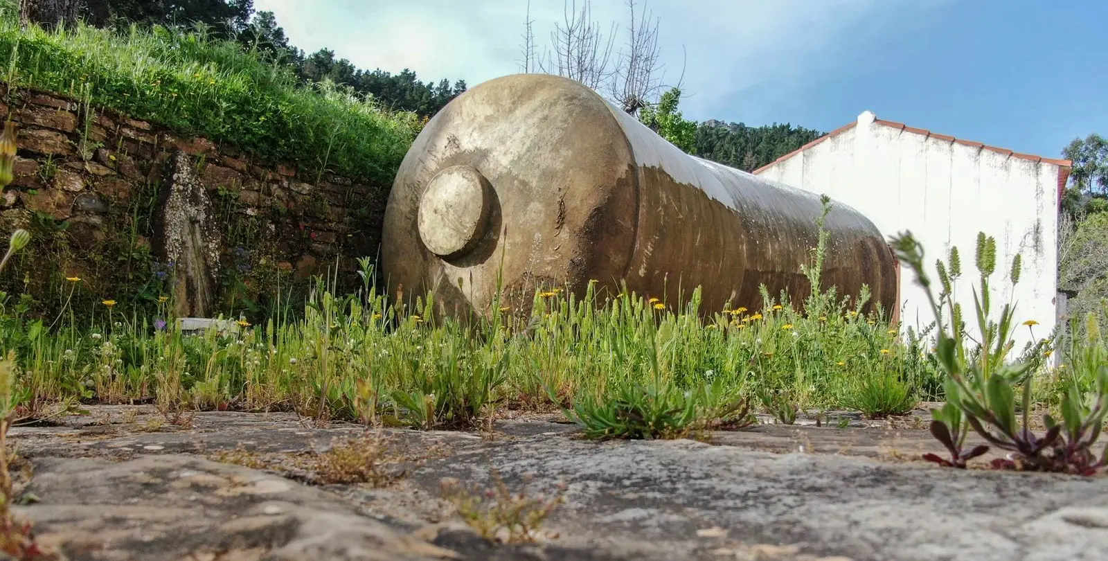 Venta de finca - cortijo en Gaucín 13