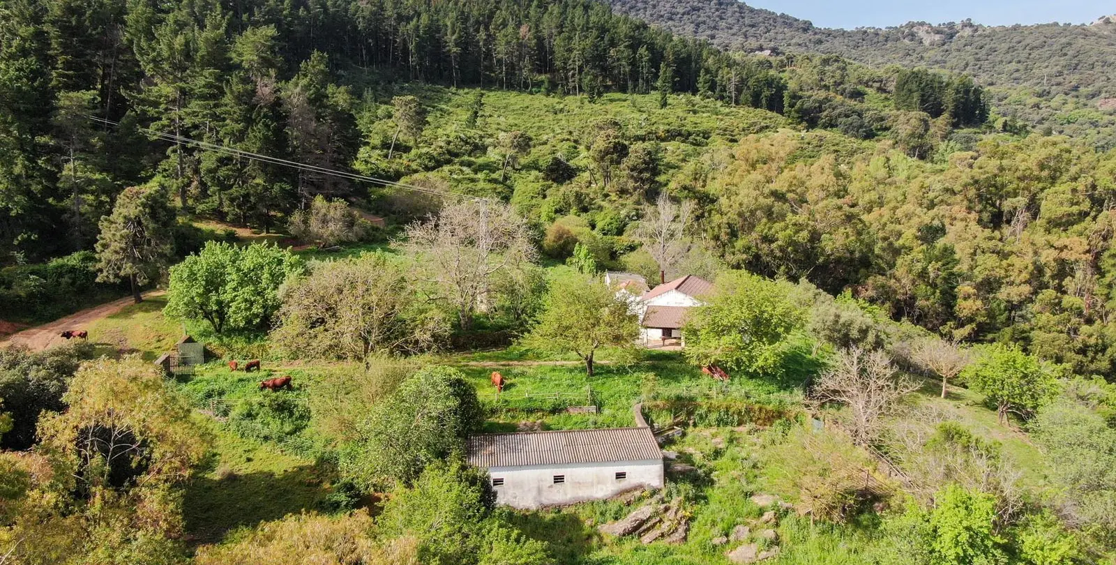 Venta de finca - cortijo en Gaucín 14