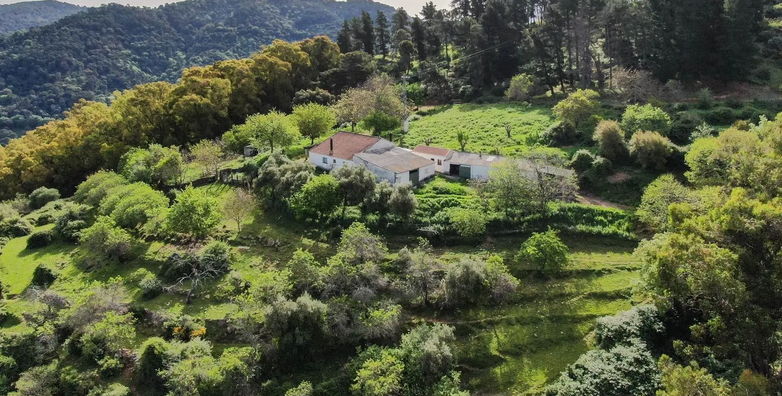 Venta de finca - cortijo en Gaucín 15