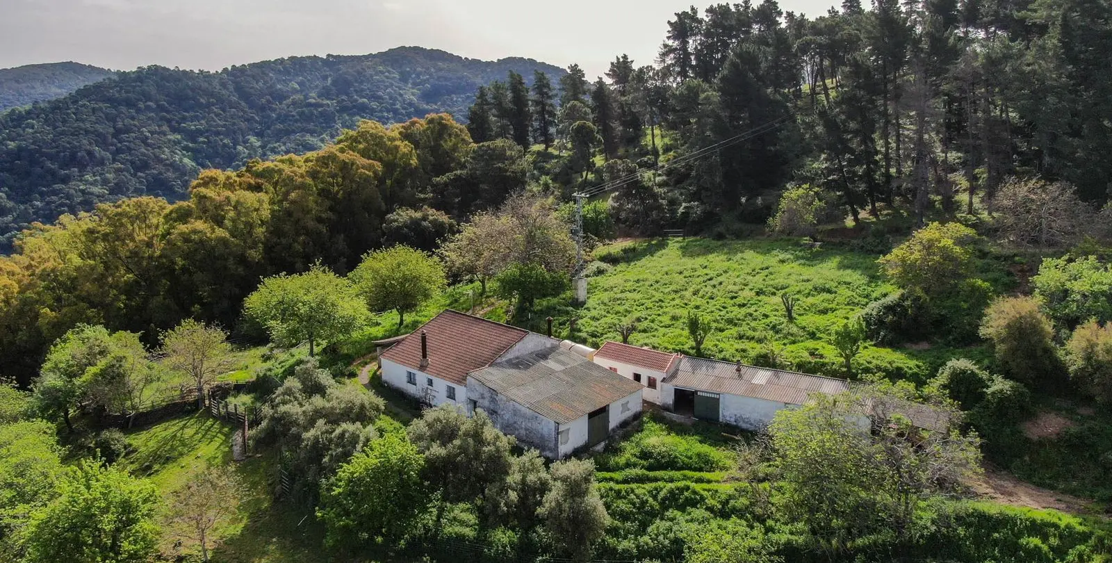 Venta de finca - cortijo en Gaucín 16