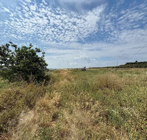 Residential plot R5044792