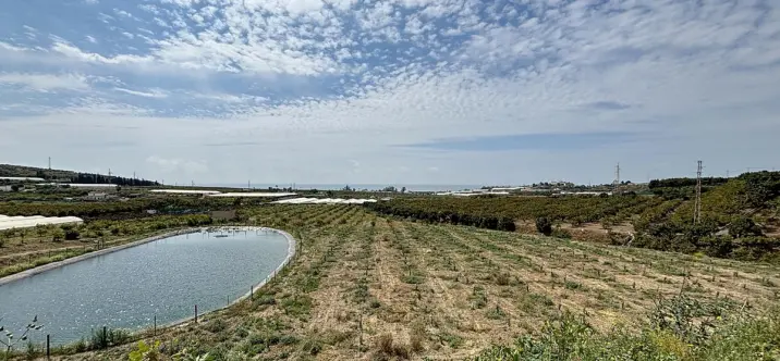 Residential plot R5044792 3