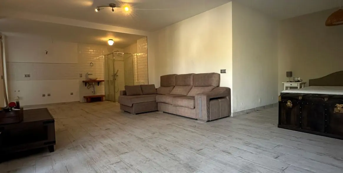 Sale of detached villa in Mayorazgo 36