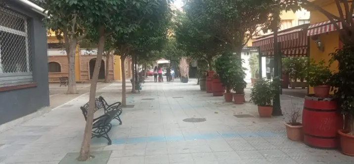 Продажа объекта в San Pedro de Alcántara 0