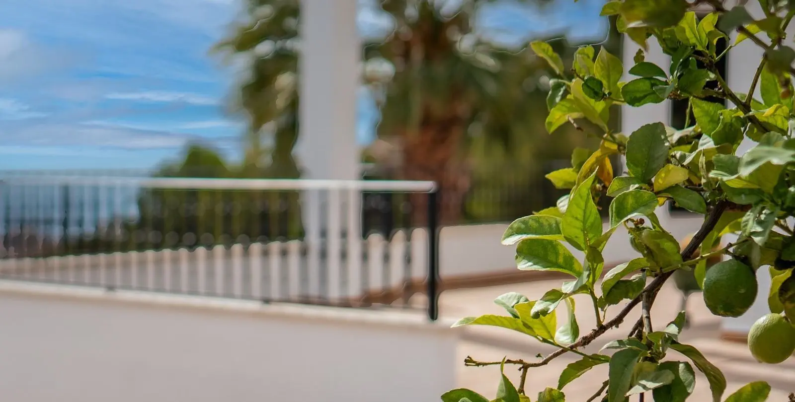 Продажа  отдельно стоящей виллы в Pinares de San Antón 37