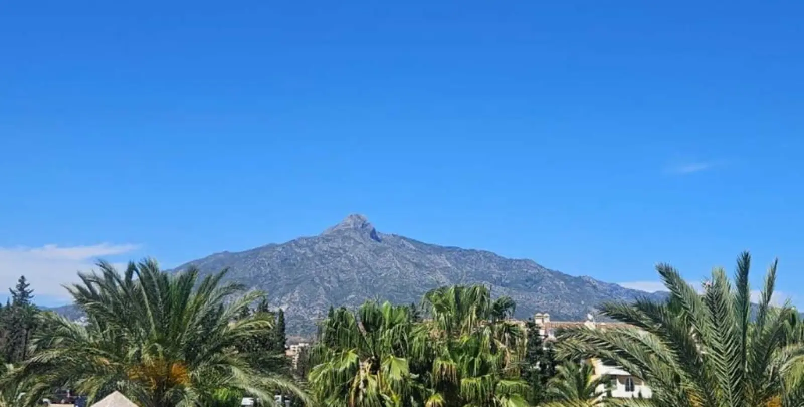 Venta de ático dúplex en Nueva Andalucía 5