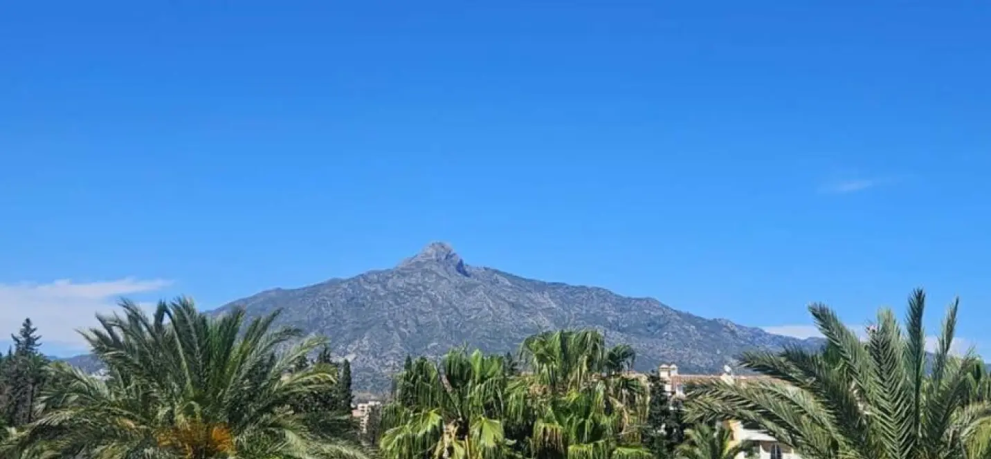 Sale of penthouse duplex in Nueva Andalucía 4