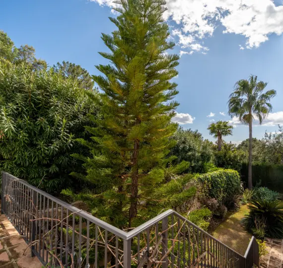 Venta de villa independiente en Istán