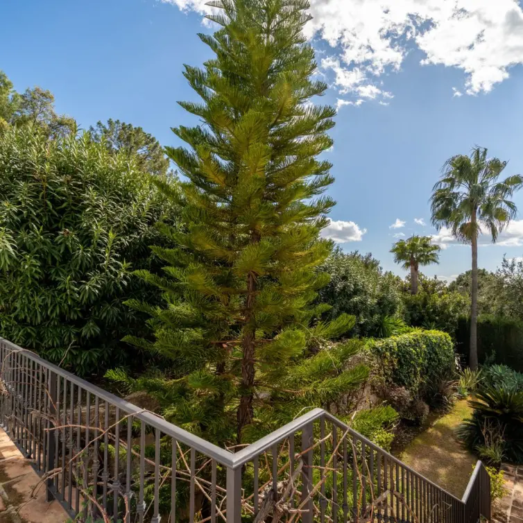 Venta de villa independiente en Istán