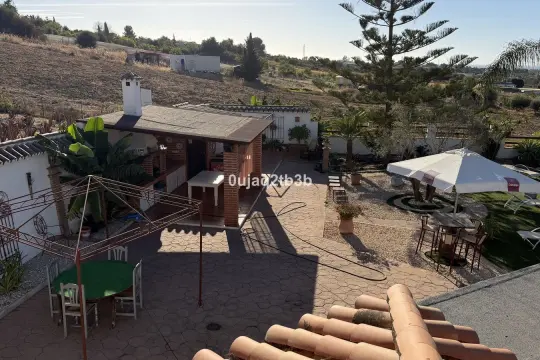 Image 4 thumb