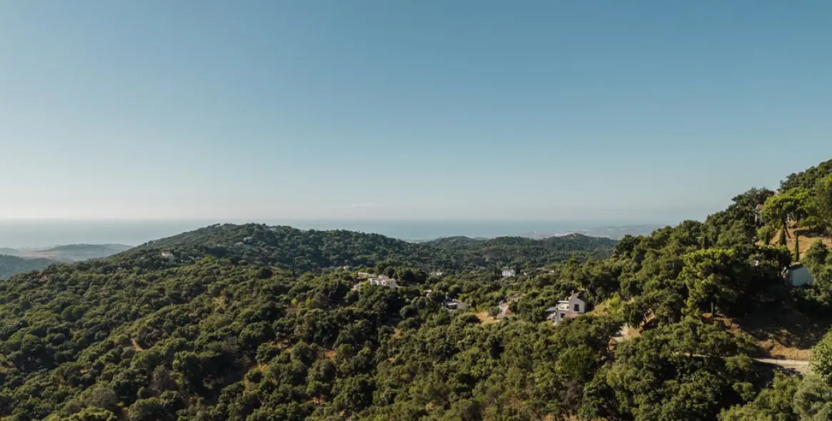 Venta de finca - cortijo en Casares 13