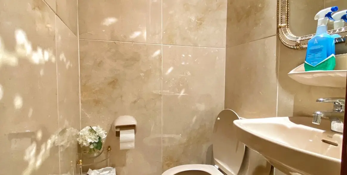 Sale of detached villa in Marbella 43