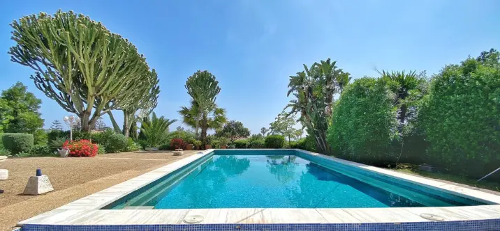 Sale of detached villa in Marbella 0