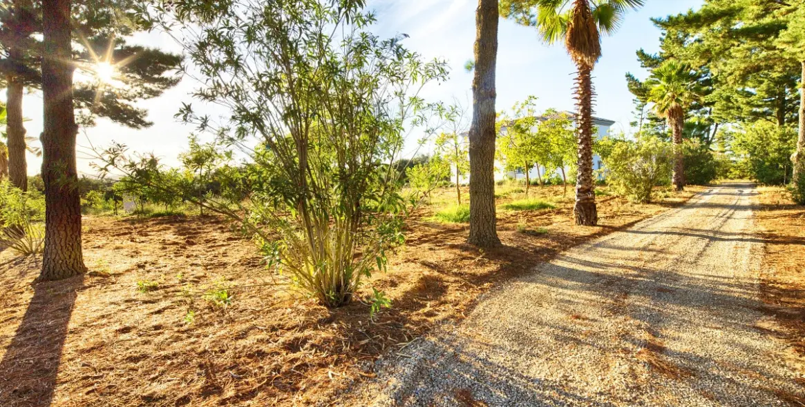 Sale of farm in Ronda 34
