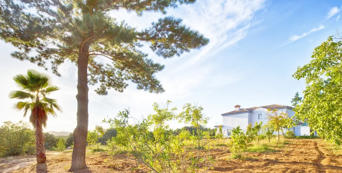 Sale of farm in Ronda 35