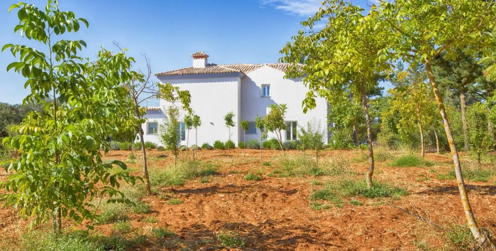 Продажа фермы в Ronda 1